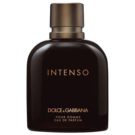 intense dolce gabbana hombre|dolce & gabbana intenso review.